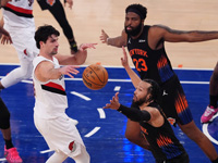 НБА. Дени Авдия набрал 11 очков. "Портленд" проиграл в Нью-Йорке