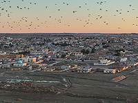 Сирия закрывает лагерь "Аль-Холь", где содержались семьи джихадистов
