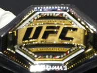 UFC. Кавана победил Морено. "Баба Яга" нокаутировал Шульца