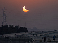 Израильские ученые опровергли предположение, что деревья могут "предсказать" солнечное затмение