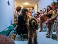 Ракетная тревога на севере и на юге Израиля