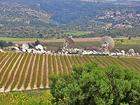 Разрешено к публикации: ракетой "Хизбаллы" причинен ущерб спутниковой станции в районе Бейт-Шемеша