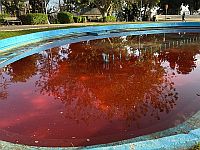 "Кровавый фонтан" в Хайфе, полиция задержала подозреваемых
