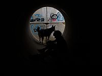 16-й день войны "Рычание льва": ракетные обстрелы из Ирана, ЦАХАЛ атакует в Ливане