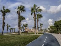 Осторожнее на дорогах в горах и на севере: возможен сильный ветер и падение деревьев