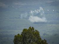 Ракетная тревога у границы с Ливаном: "Хизбалла" возобновила обстрелы