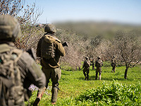 На юге Ливана уничтожены несколько боевиков "Хизбаллы"