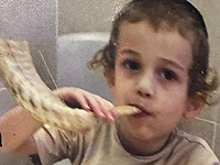 Йосеф Арье Финкельштейн