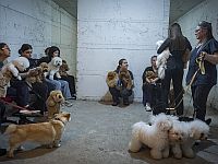 Вновь "Цева адом" на севере Израиля