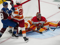 "Колорадо" стал победителем регулярного чемпионата НХЛ