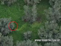 Кусты не спасли: ВВС Израиля ликвидировали группу боевиков "Хизбаллы" в Ливане. Видео