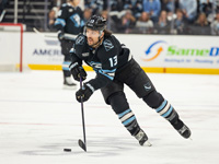 "Юта Маммот" впервые вышел в плэй-офф НХЛ