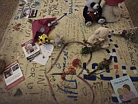 Психологи изучили воздействие травмы 7 октября на сенсорную систему маленьких детей