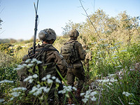 ЦАХАЛ ликвидировал вооруженного боевика на юге Ливана, пересекшего "желтую" линию