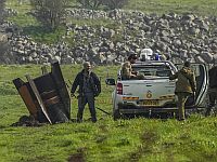 20-й день войны "Рычание льва"