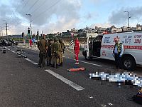 Канцелярия Бен-Гвира утверждает, что сбитый палестинский подросток выехал на красный свет