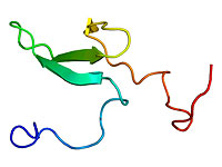 Израильские ученые нашли "молекулярный щит", сдерживающий метастазы при раке кожи