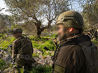 ЦАХАЛ ликвидировал двух вооруженных боевиков "Хизбаллы" на юге Ливана