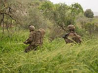 ЦАХАЛ сообщил о перехвате цели на юге Ливана
