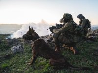 В Ливане военнослужащая подразделения "Окец" ликвидировала террориста, погибла служебная собака
