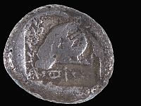 На пляже в Ашдоде найдена редкая монета, отчеканенная на Кипре 2500 лет назад
