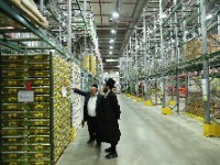 Опубликовано краткое руководство по соблюдению кашрута за границей