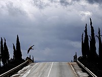 Партия Айзенкота установила предвыборный билборд на Кипре