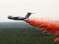 "Самое большое бедствие со времен Второй мировой": Фоторепортаж о пожарах во Франции и Испании