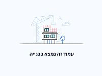 "А-Йом": живущие за рубежом израильтяне жалуются на сбои сервисов проверки права голосовать