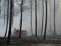 Лесные пожары выявили сотни снарядов Второй мировой войны во французских деревнях