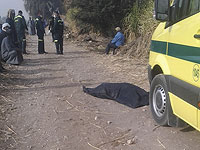 В Египте в результате автокатастрофы погибли 18 человек и более 30 получили травмы
