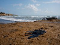 Израильские ученые создали умный аэрогель для очистки пресных водоемов и морей при разливах нефти