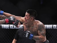 UFC. Джошуа Ван защитил титул