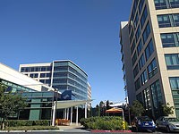 Капитализация Palo Alto Networks впервые превысила 1 триллион шекелей Капитализация Palo Alto Networks впервые превысила 1 триллион шекелей
