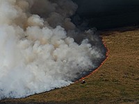 На китайско-монгольской границе бушует степной пожар