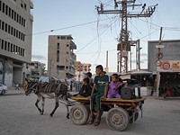 С начала войны в Газе в 30 раз подорожали ослы С начала войны в Газе в 30 раз подорожали ослы
