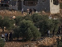 Двое иностранных активистов задержаны во время сбора оливок в районе Хеврона и будут депортированы