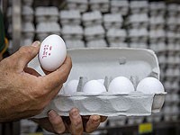 С 1 ноября в Израиле подорожают яйца С 1 ноября в Израиле подорожают яйца