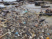 Японские ученые создали пластик, способный разлагаться даже на дне океана Японские ученые создали пластик, способный разлагаться даже на дне океана