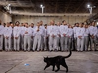 Жанна Модзгвришвили возглавит обвинение против террористов "Нухбы"