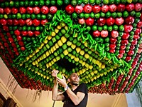 Суккот в общине самаритян: сукка внутри дома и украшения из фруктов Суккот в общине самаритян: сукка внутри дома и украшения из фруктов