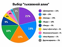 Как голосовала "тыквенная алия" на выборах в Кнессет. Результаты опроса Newsru.co.il