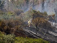 Из-за пожара в лесу Бен-Шемен перекрыты шоссе 444 и участок шоссе 6