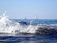 Прогноз погоды в Израиле на 31 октября: небольшое повышение температуры Прогноз погоды в Израиле на 31 октября: небольшое повышение температуры