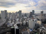 Самым дорогим мегаполисом планеты по стоимости аренды жилья в 2011 году оказался Токио/
