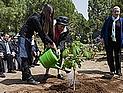 "Дерево Анны Франк" посажено в Израиле