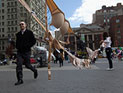 Цепь из лифчиков в Нью-Йорке: стриптиз ради борьбы с раком груди