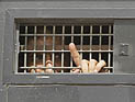 Очередной активист ХАМАС освобожден из тюрьмы благодаря голодовке