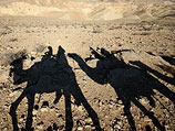 По одной из версий, Тарабина арестовали, когда он пас верблюдов и случайно забрел на египетскую территорию в поисках животного, отбившегося от стада