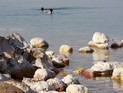 В Мертвом море утонул иностранный турист